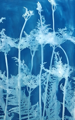 Dance of the Fairies