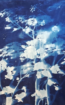 Sweet Sweet Angelica